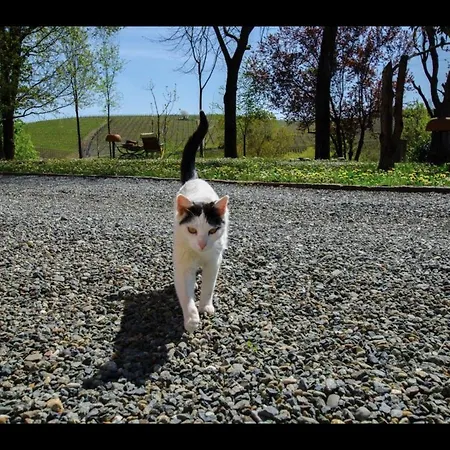 Alloggio per agriturismo Relais Il Bricco *